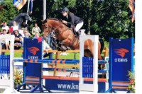 /album/knhs/knhs-springen1-jpg/